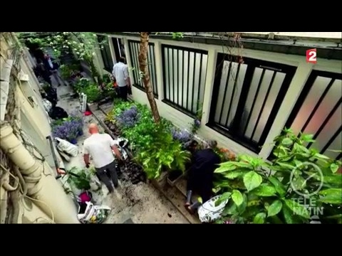 Des solutions contre les jardins à lombre