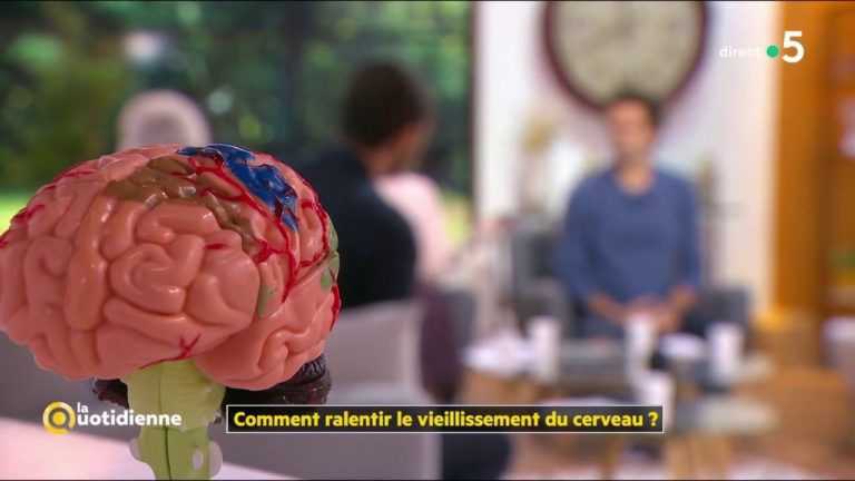 Comment ralentir le vieillissement du cerveau ?