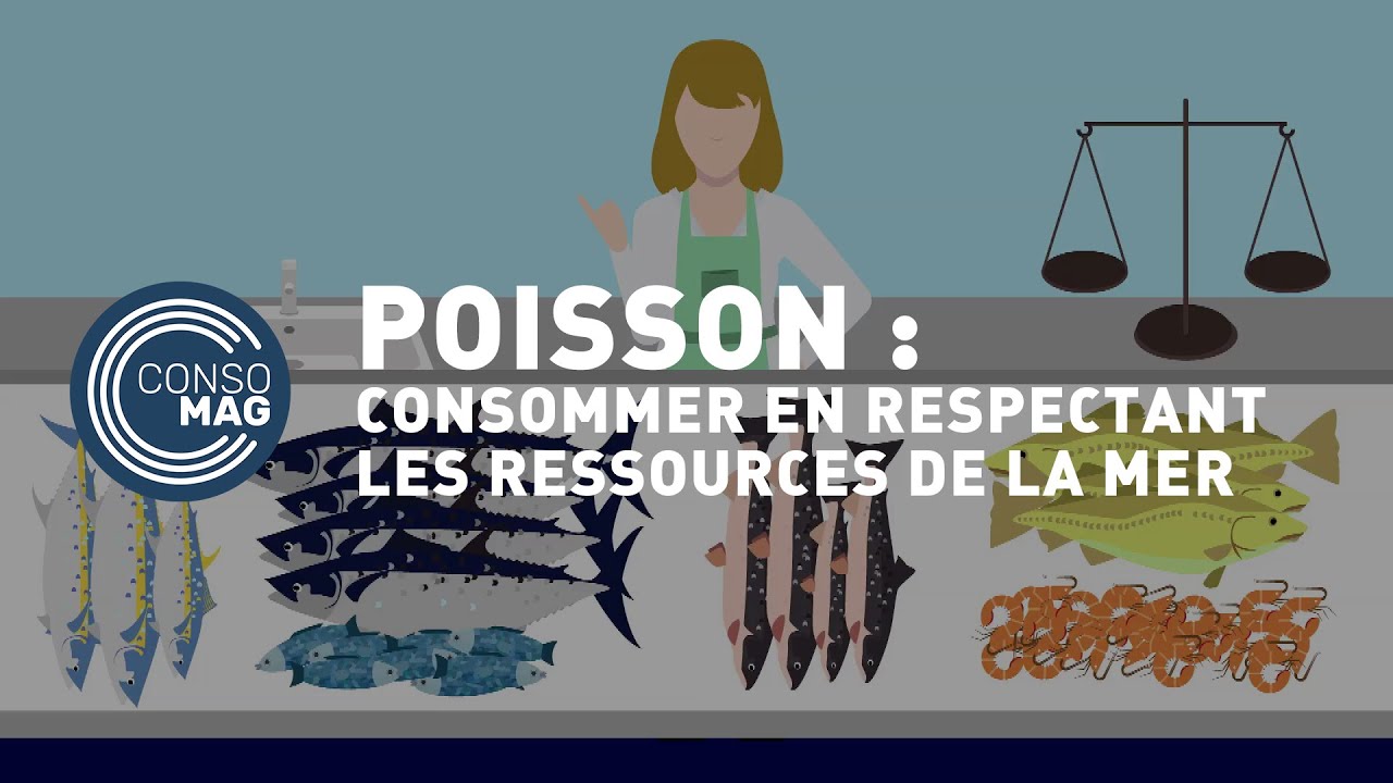 Poisson-consommer-en-respectant-les-ressources-de-la-mer-