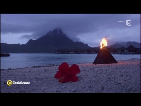 Une-lune-de-miel-paradisiaque-au-bout-du-monde -La-Quotidienne