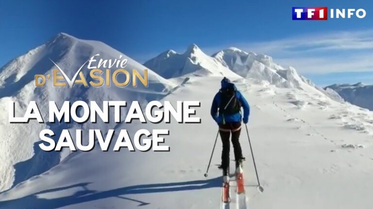 Au-coeur-de-la-montagne-sauvage-un-voyage-a-couper-le-souffle