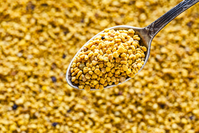 Bee pollen on a metal spoon shot from above